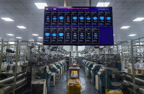 浙江諸暨 積極推進(jìn) 國(guó)際襪都 襪業(yè)產(chǎn)業(yè)高質(zhì)量發(fā)展