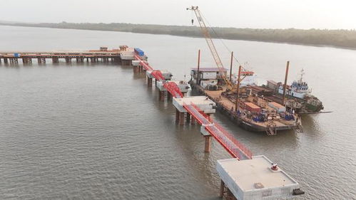 一季度利潤逼近2024年全年,河南國際集團(tuán)發(fā)展解碼