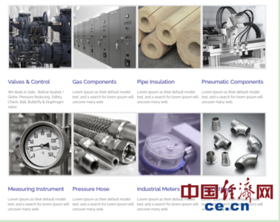 巴基斯坦閥門制造業的生存困境 國際物流成本飆升十倍，原材料價格劇烈波動